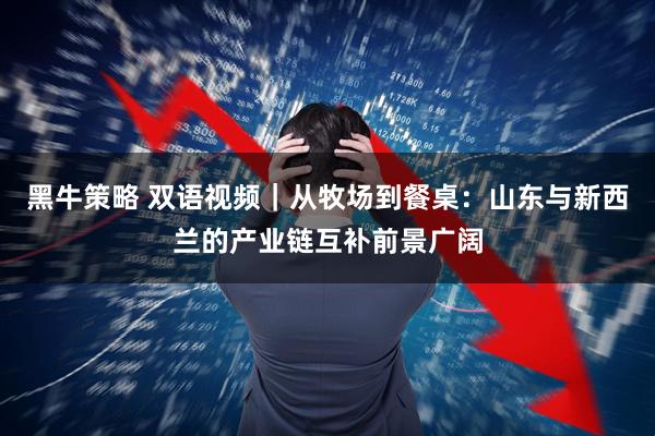 黑牛策略 双语视频｜从牧场到餐桌：山东与新西兰的产业链互补前景广阔