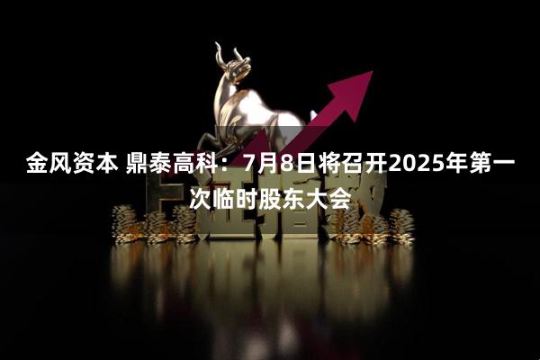 金风资本 鼎泰高科：7月8日将召开2025年第一次临时股东大会
