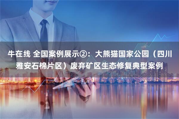 牛在线 全国案例展示②：大熊猫国家公园（四川雅安石棉片区）废弃矿区生态修复典型案例