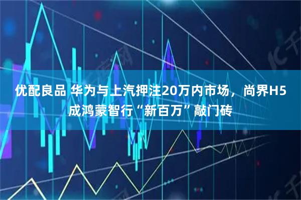 优配良品 华为与上汽押注20万内市场，尚界H5成鸿蒙智行“新百万”敲门砖